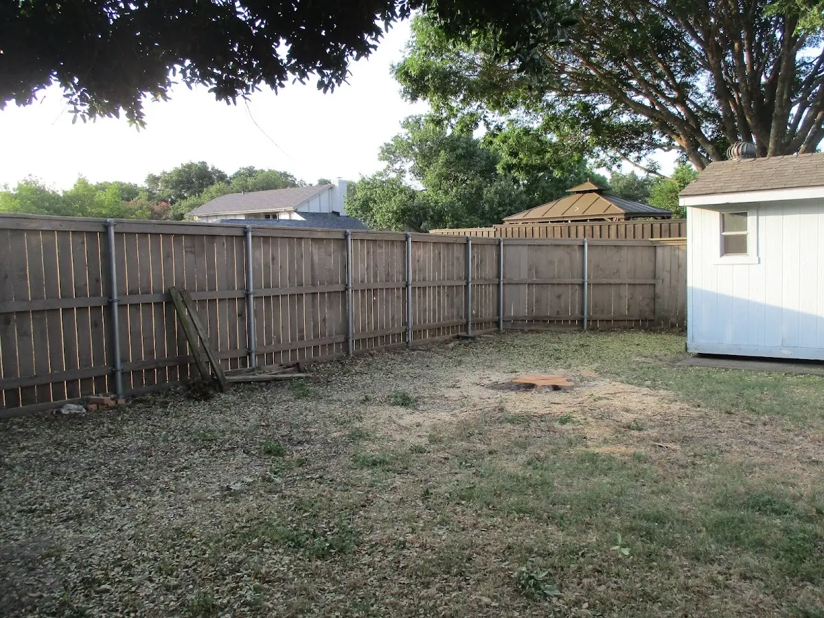 Cleared yard after professional tree removal in Tennessee